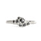 Sterling Silver Tideworn Ring #4