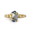 Montana Sapphire Rough Luxe Ring
