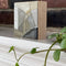 Mini on Maple no. 8