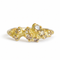 Champagne Tideworn Ring