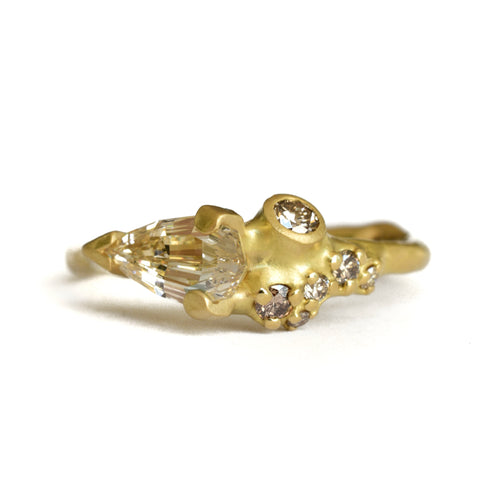Geometric Pear Cluster Ring