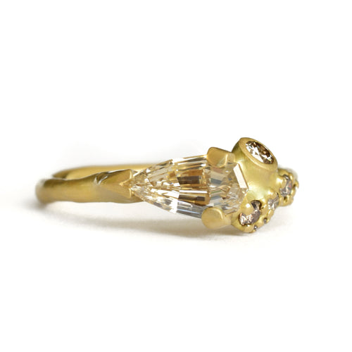 Geometric Pear Cluster Ring