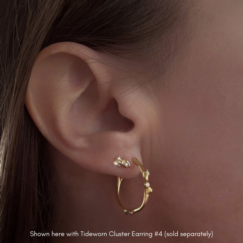 Barnacle Hoop Earrings