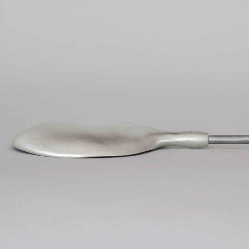 Silver Spoon with Ebony Handle