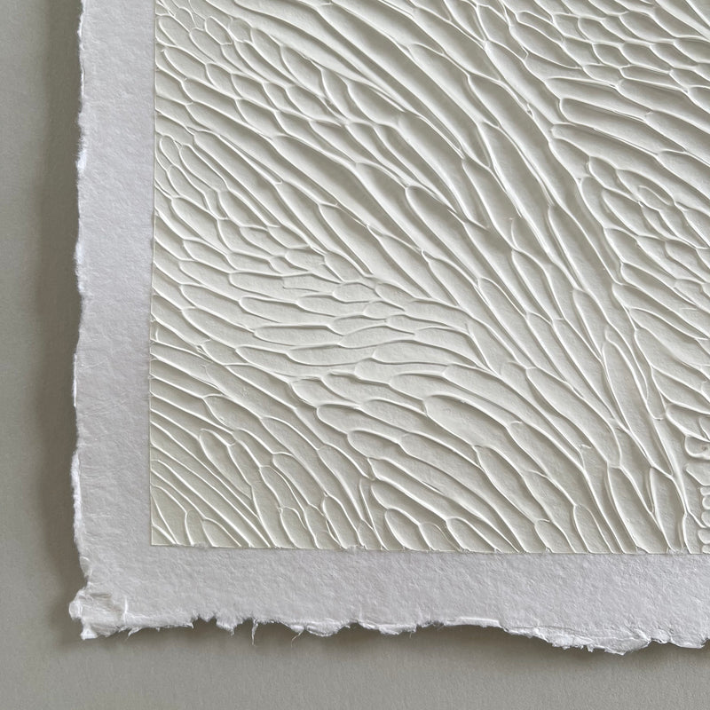 Ninos Studio - Current Series Textural Study on Handmade Paper